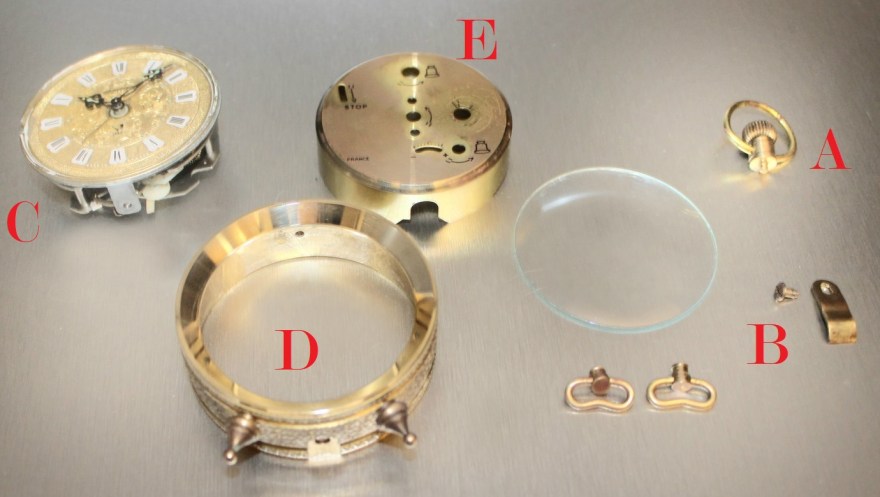 moltic1515-71 anatomie