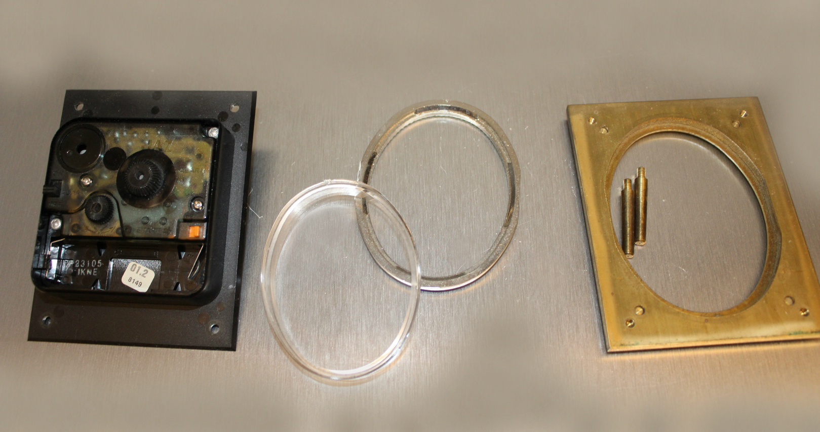 daillic dos anatomie