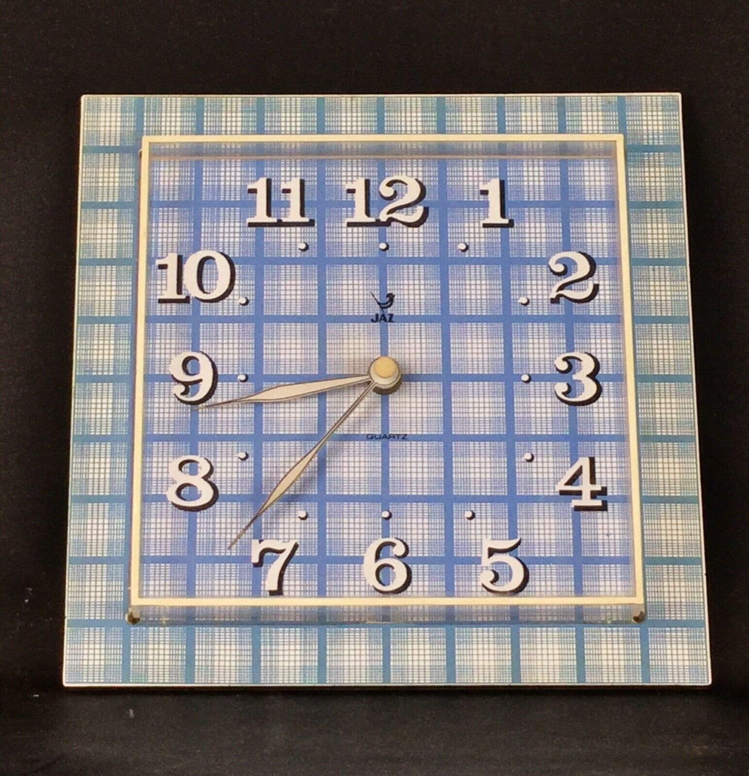 vinic bleues à aiguilles blanches