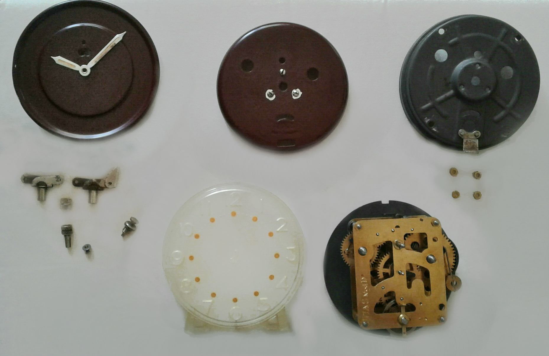 creusic anatomie 2.jpg