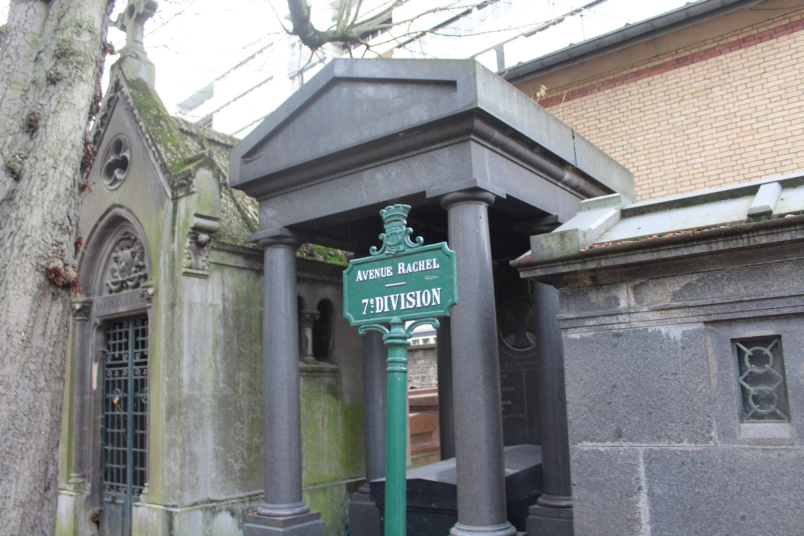 Meyer 7 ° division PLC (6)