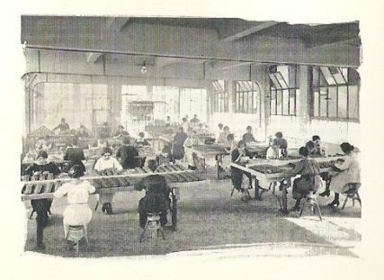 prospectus-1923-page-7