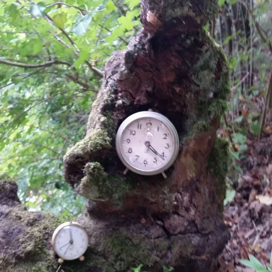 71739188_214690766188921_6193850945030673788_n