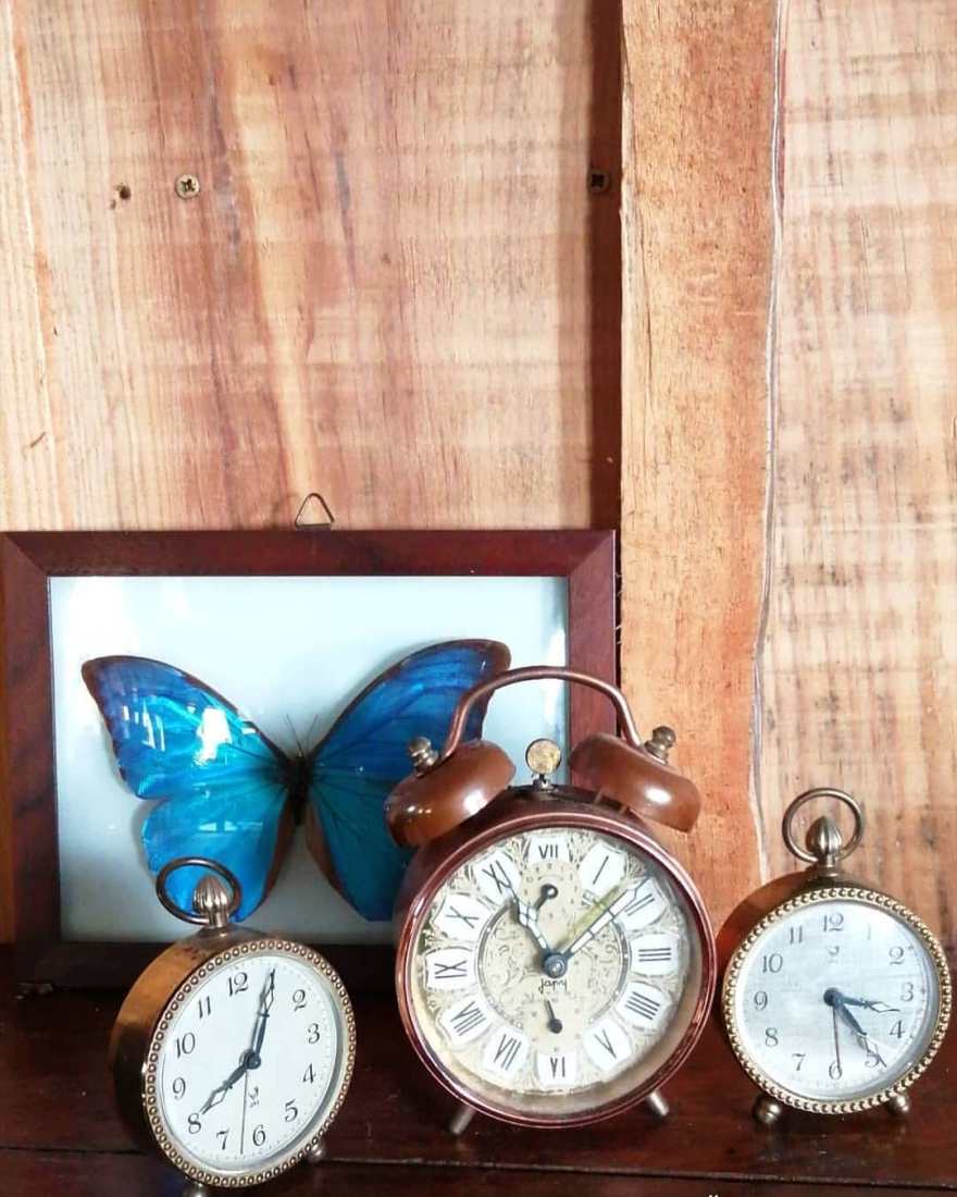 90089628_639173386867726_8171150508334903355_n