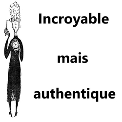 incroyable mais authentique logo