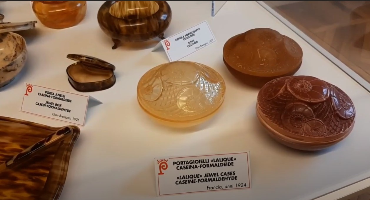 vitrines musée plastique (3)