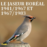 jaseur-borc3a9al-2